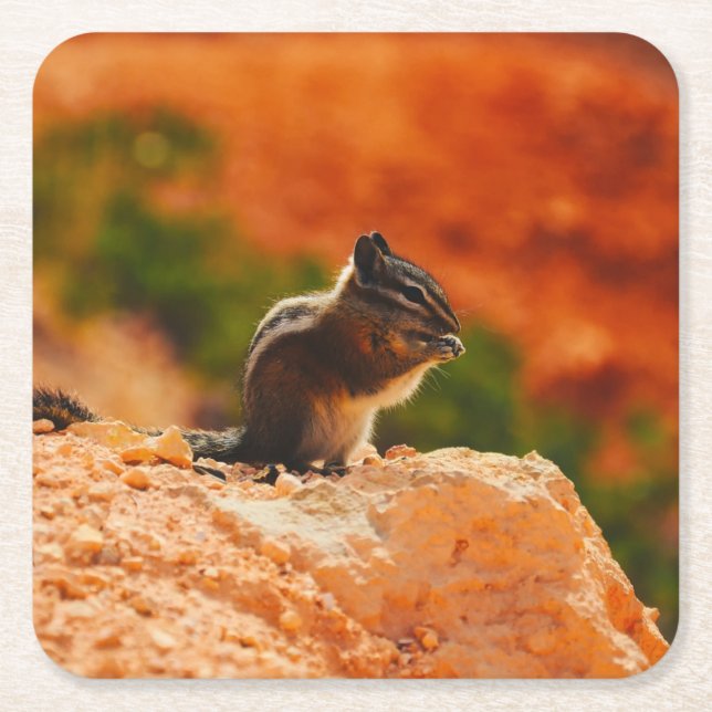 Cute Chipmunk Square Paper Coaster (Front)