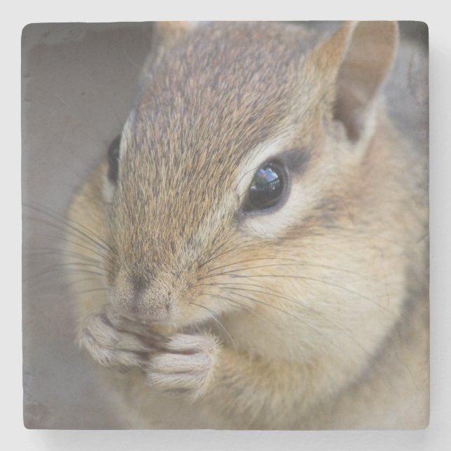 Cute chipmunk stone coaster (Front)