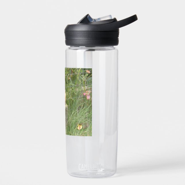 Cute Chipmunk Water Bottle (Left)
