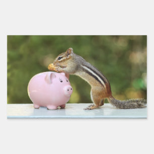 Cute Chipmunk with Funny Money Piggy Bank Picture Rectangular Sticker
