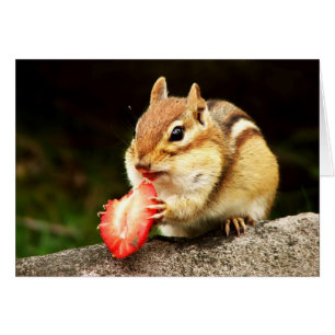 Cute Chipmunk with Juicy Strawberry Card