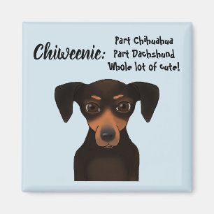 Cute Chiweenie Appreciation Chihuahua Dachshund Magnet