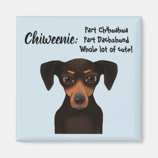 Cute Chiweenie Appreciation Chihuahua Dachshund Magnet