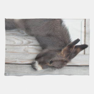 Cute Chocolate Baby Donkey Foal Tea Towel