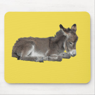 Cute chocolate donkey baby foal sleeping mouse pad