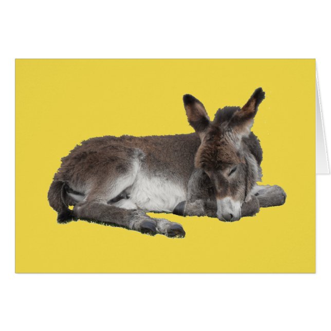 Cute chocolate donkey baby foal sleeping on yellow (Front Horizontal)