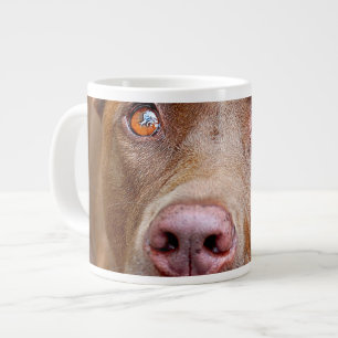 Cute Chocolate Lab Pit Mix Dog 7 Large Coffee Mug