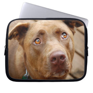 Cute Chocolate Lab Pit Mix Dog Portrait 5 Laptop Sleeve