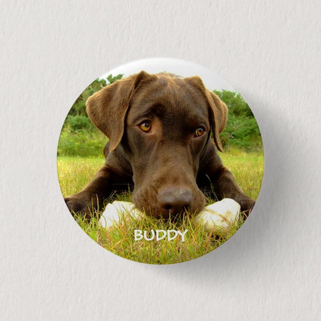 Cute Chocolate Labrador Custom 3 Cm Round Badge (Front)