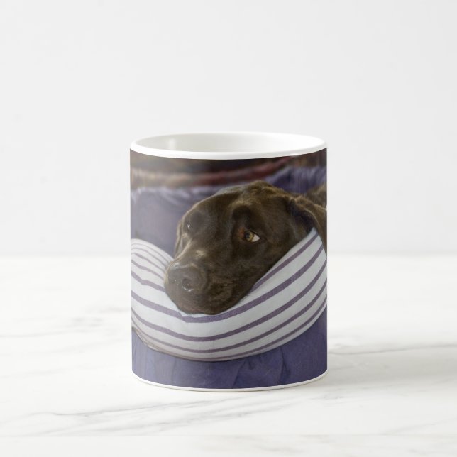 Cute Chocolate Labrador Retriever Dog In Bed Photo Coffee Mug (Center)