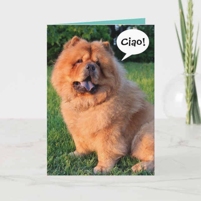 Cute Chow Chow Saying "Ciao!" Greeting Card (Front)