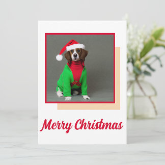 Cute Christmas Animal Card for Friends and Family