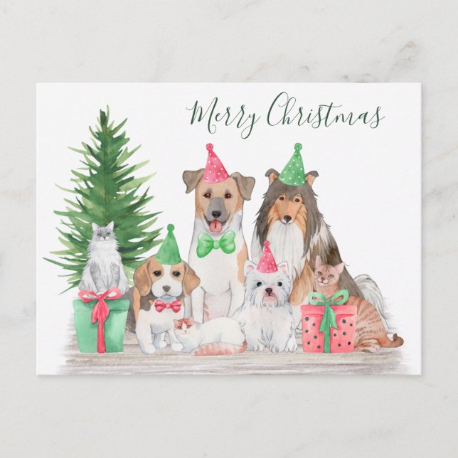 Cute Christmas Animals Dog Cat Puppy Kitten Holiday Postcard (Front)