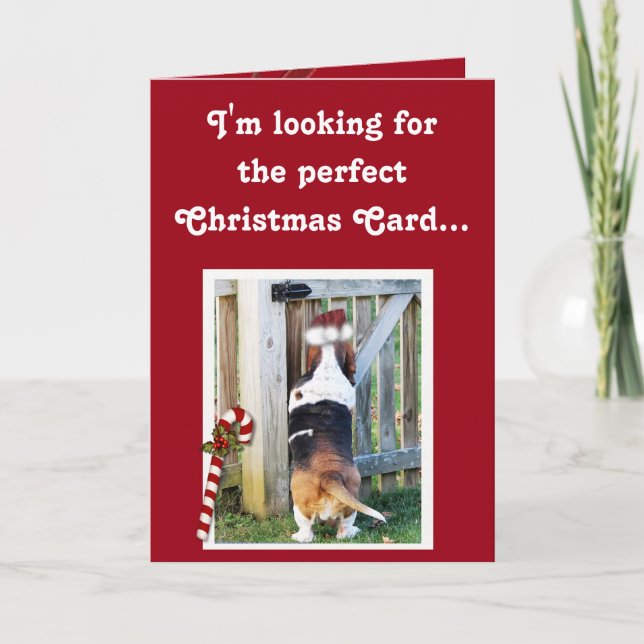 Cute Christmas Card w/Basset, Candy Cane, & Snow (Front)