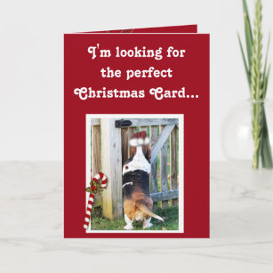 Cute Christmas Card w/Basset, Candy Cane, & Snow