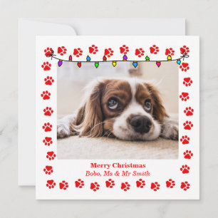 Cute Christmas Card with Custom Picture & paws