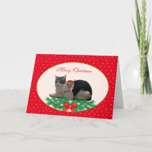 Cute Christmas Cat & angel elf on red Card