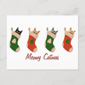 Cute Christmas cat greetings Holiday Postcard