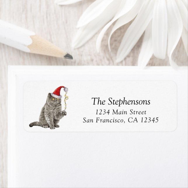 Cute Christmas Cat Santa Hat Return Address  Label (Insitu)