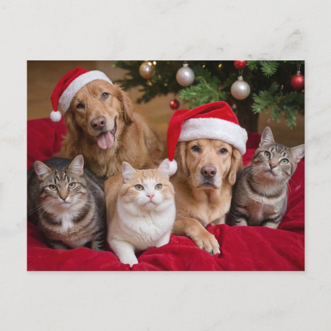 Cute Christmas cats and dogs Holiday Postcard (Front)