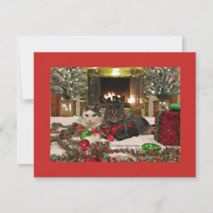 Cute Christmas Cats Holiday Card