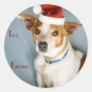 Cute Christmas Dog Name Tags