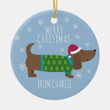 Cute Christmas Dog Photo