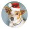 Cute Christmas Dog Stickers