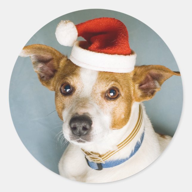 Cute Christmas Dog Stickers (Front)