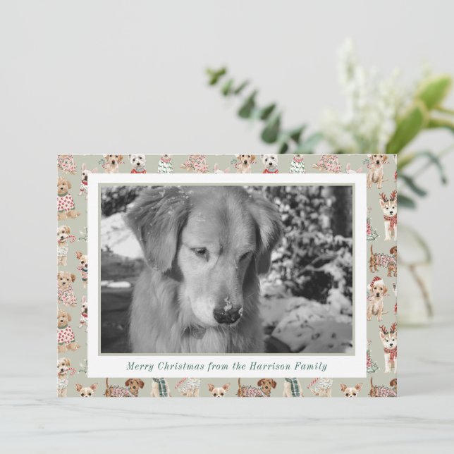 Cute Christmas Dogs Photo Holiday Card (Standing Front)