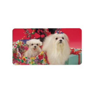 Cute Christmas Dogs Puppies Label Stickers