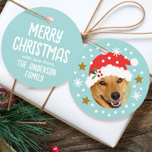 Cute Christmas Face-in-a-hole Pet Photo Blue Favour Tags