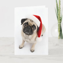Cute Christmas Fawn Pug Santa Hat Puppy Dog Eyes