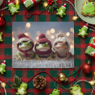Cute Christmas Frogs Postcard