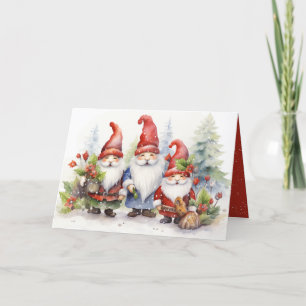 Cute Christmas Gnomes In Snowflakes Holiday Card