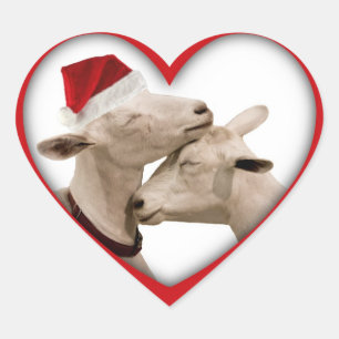 Cute Christmas Goat Couple Heart Sticker