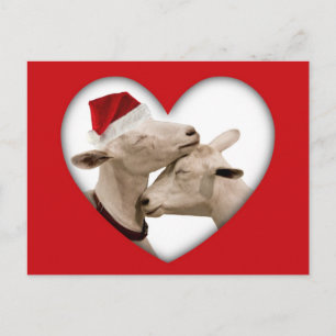 Cute Christmas Goat Couple Holiday Postcard