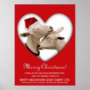 Cute Christmas Goat Couple Poster