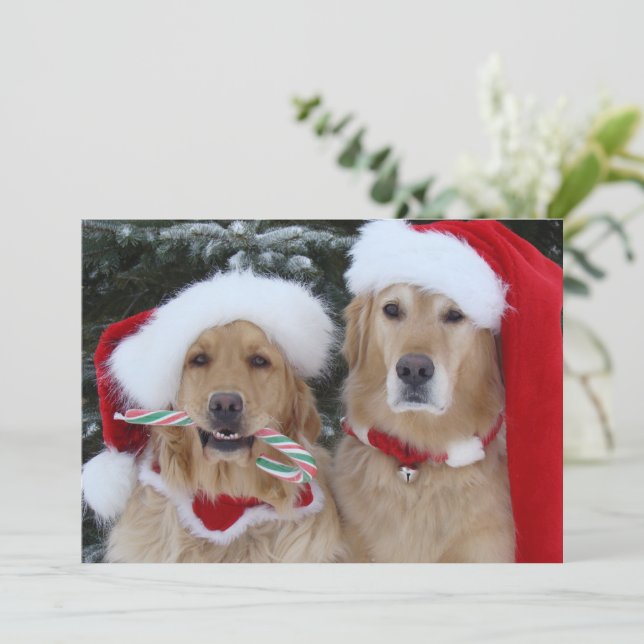 Cute Christmas Golden Retrievers flat card (Standing Front)