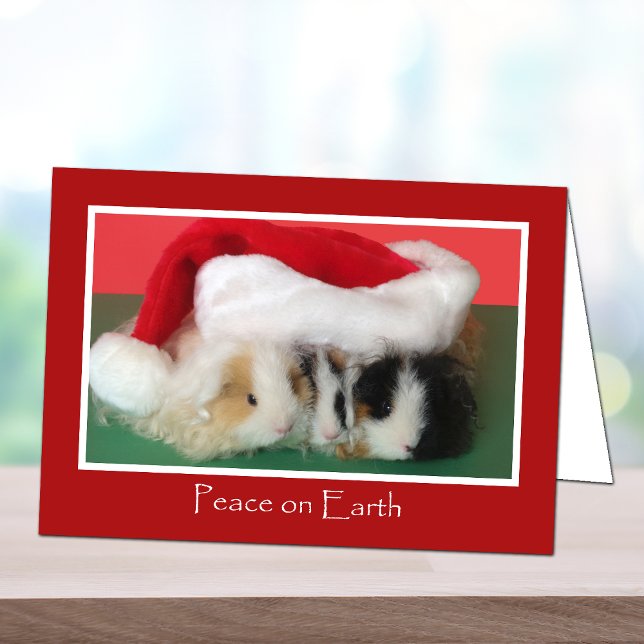 Cute Christmas Guinea Pig Card (Creator Uploaded)
