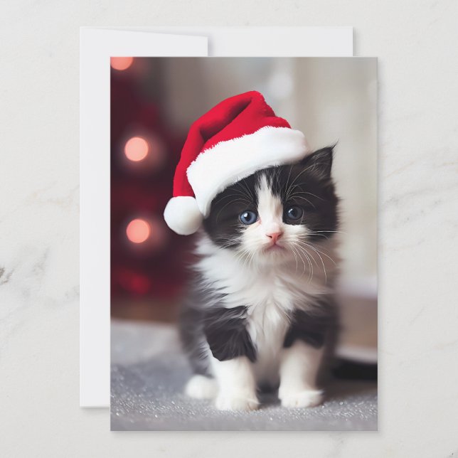 Cute Christmas Kitten Holiday Card (Front)