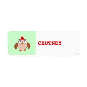 Cute Christmas Owl Custom Food Labels