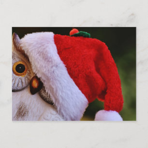 Cute Christmas Owl,Merry Christmas Santa Owl Holiday Postcard