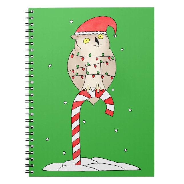Cute Christmas Owl Notebook (Front)