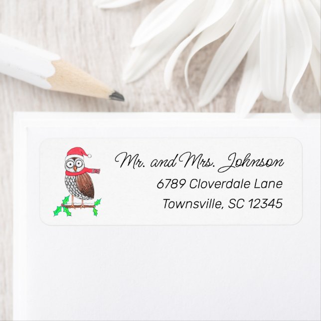 Cute Christmas Owl Return Address Label (Insitu)