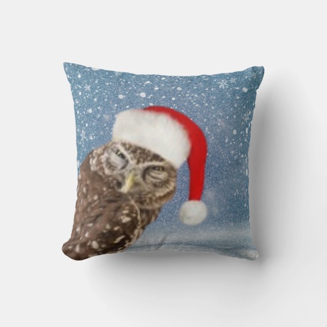 Cute Christmas Owl with Red Santa Hat Snowflakes  Cushion (Front)
