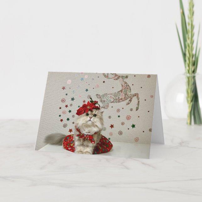 Cute Christmas Persian Cat  Card (Front)