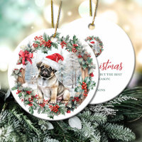 Cute Christmas pug dog puppy Santa hat