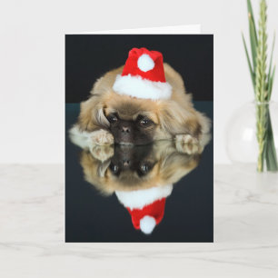 Cute Christmas Puppy card