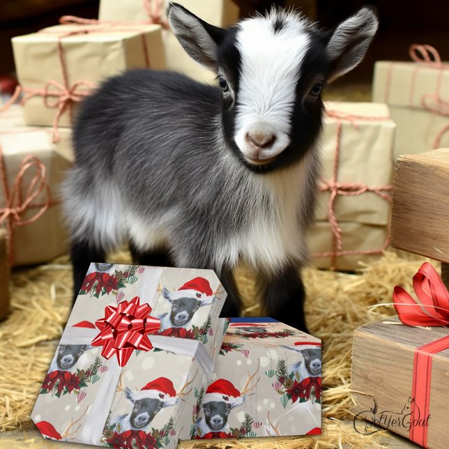 Cute Christmas Pygmy Kid Goat Poinsettia Wreath Wrapping Paper (Creator Uploaded)